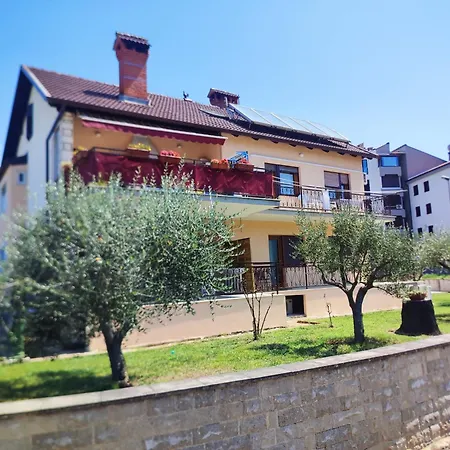 Petra Apartment *