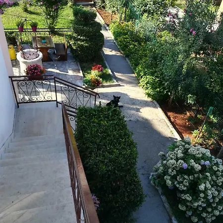 Petra Apartment